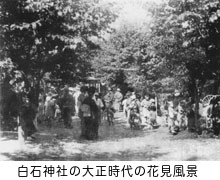 白石神社の大正時代の花見風景
